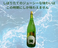 おだやか　純米吟醸　しぼりたて生　入荷致しました
