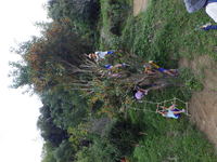 キンモクセイの香り 2021/10/12 10:54:38