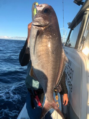 ９月１８日（月）の釣果