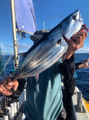 ９月１８日（月）の釣果