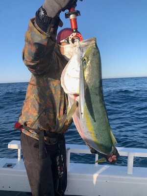 ３月１１日（月）の釣果