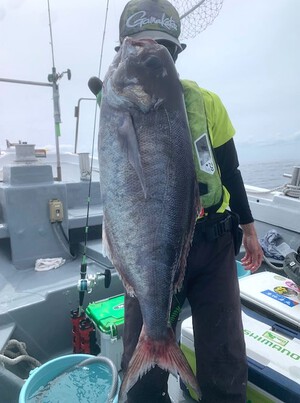 ４月２９日（月）の釣果