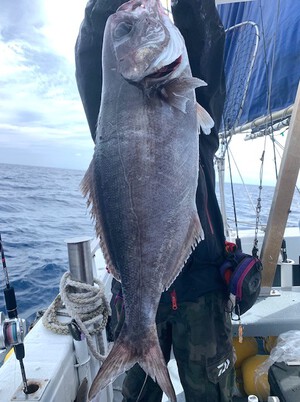 ５月１２日（日）の釣果