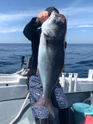 ５月１８日（土）の釣果