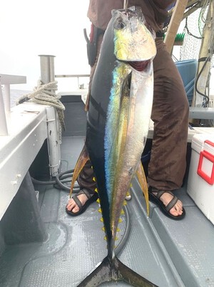 ５月２３日（木）の釣果
