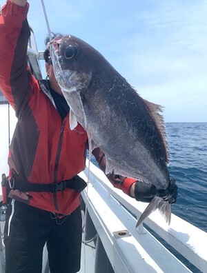 ５月２６日（日）の釣果