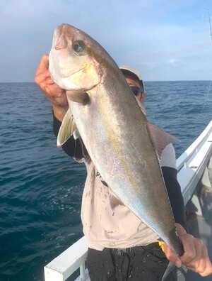 ６月３日（月の釣果