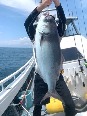 ６月３日（月の釣果