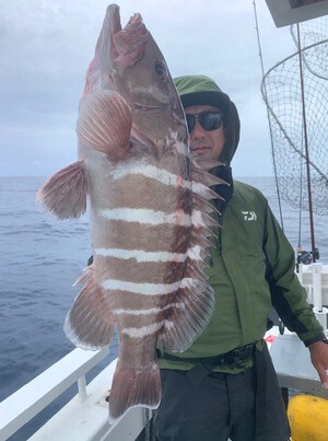 ６月９日（日）の釣果