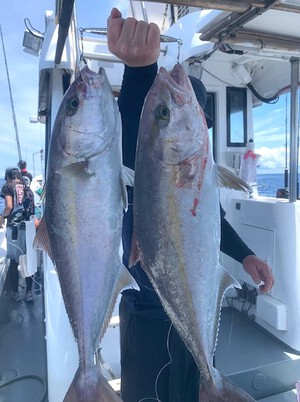 ６月１２日（水）の釣果