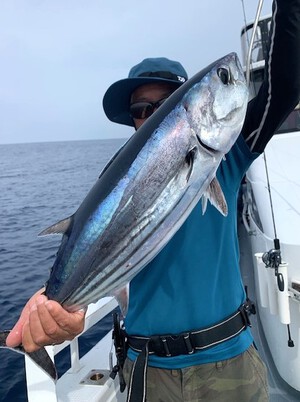 ６月２０日（木）の釣果