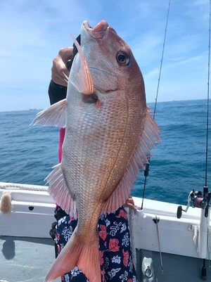 ７月２８日（日）の釣果
