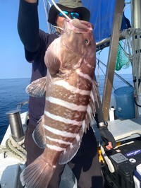 ８月２日（金）の釣果 2024/08/02 15:13:57