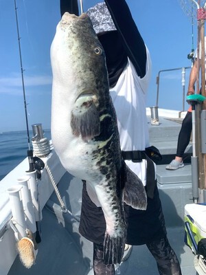 ８月１１日（日）の釣果