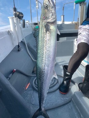 １０月２日（水）の釣果
