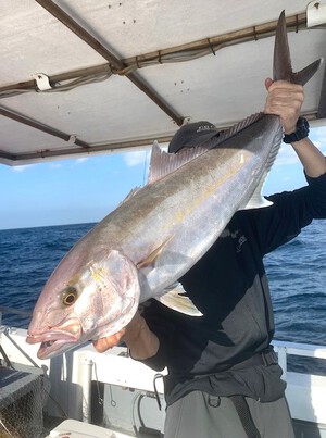 １１月１３日（水）の釣果