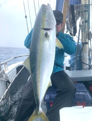 ５月２１日（水）の釣果　近場