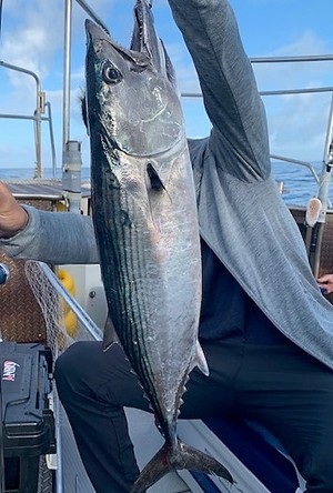 ８月１１日（火）の釣果