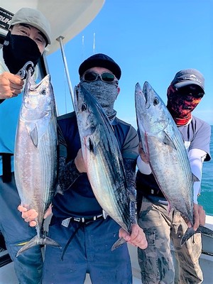 ８月１２日（水）の釣果