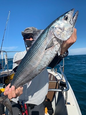 ８月１３日（木）の釣果