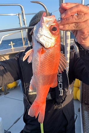 １月１５日（金）の釣果