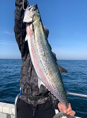 ４月２２日（木）の釣果
