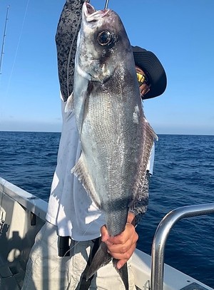６月１５日（火）の釣果