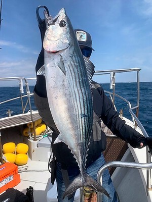 ３月２８日（火）の釣果