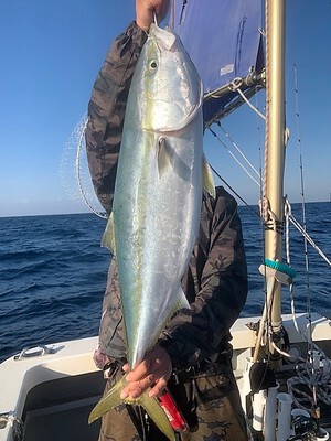 ３月３０日（木）の釣果