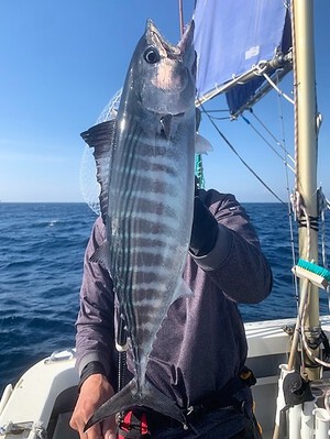 ３月３０日（木）の釣果