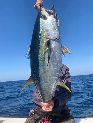 ３月３０日（木）の釣果