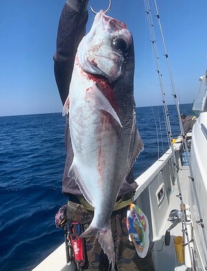４月１日（土）の釣果