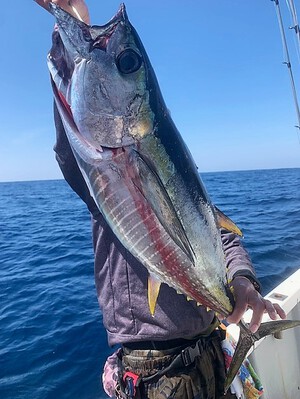 ４月１日（土）の釣果