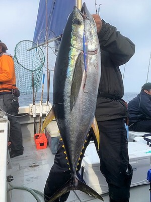 ４月５日（水）の釣果