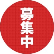 ４月後半