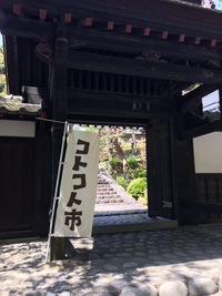 新緑の中　コトコト市へ