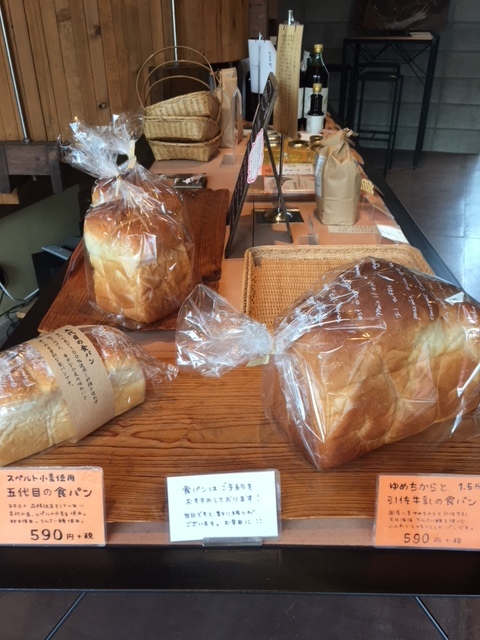 くさデカ自慢のアレ・・・入河屋さん♪
