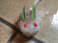 寒いですね