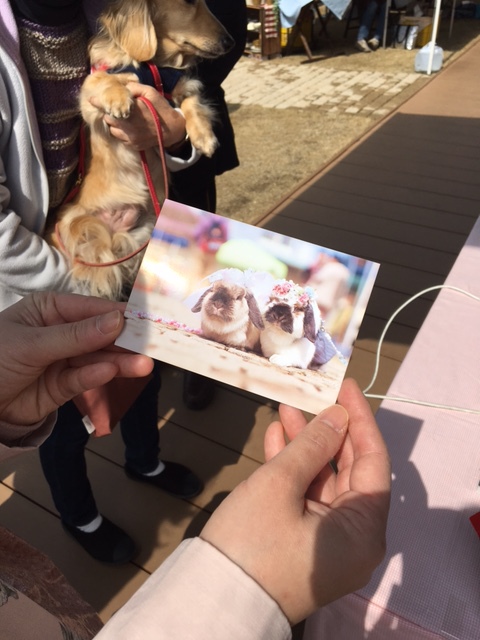 サンクスフェア開催中！