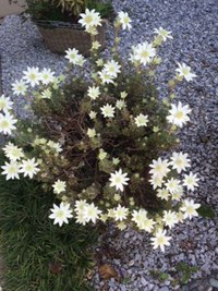 そろそろ夏支度！エアコンクリーニングはいかがですか？