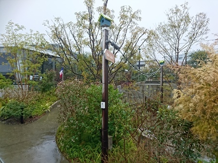 雨のガーデン