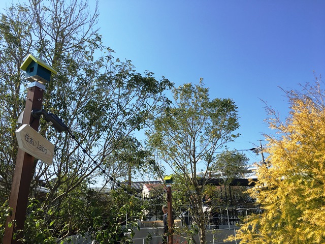サーラプラザ佐鳴台本日OPEN！