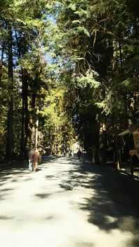小國神社 2017/02/03 17:00:32