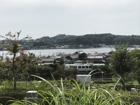 お彼岸。 2017/09/24 16:41:15