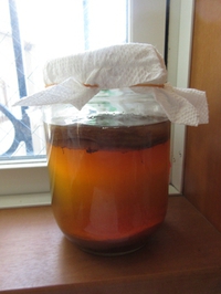 紅茶キノコ Kombucha 2017/04/12 09:28:57