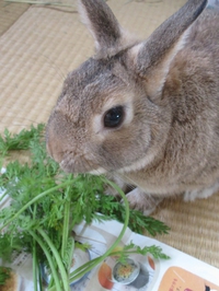 お誕生日おめでとう＾＾ 2017/06/26 22:50:18