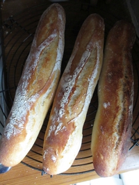 フランスパン⑧ 2017/07/14 11:31:54