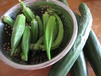 夏野菜。 2017/07/14 13:31:36