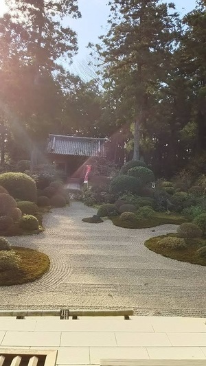 幸せぱんやさんになります