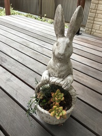 うさうさ。 2018/03/06 12:21:41